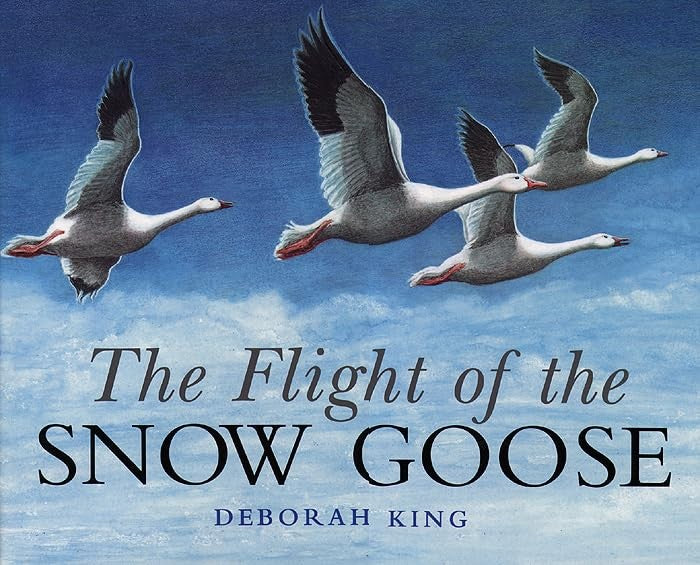 Flight of the Snow Goose