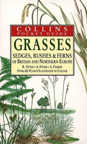 Grasses, Sedges, Rushes and Ferns of Britain and Northern Europe