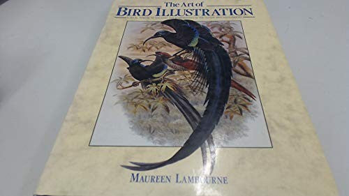 The Art of Bird Illustration