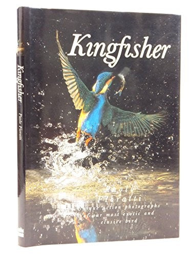 Kingfisher