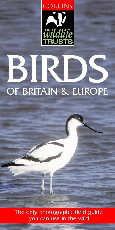 Birds of Britain and Europe