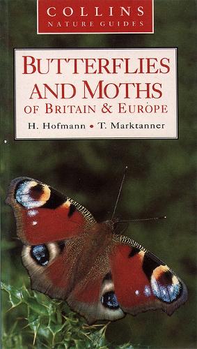 Butterflies and Moths