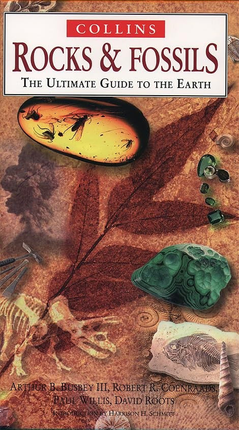 Rocks and Fossils