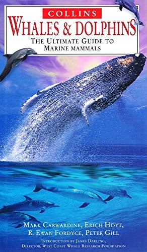 Whales and Dolphins