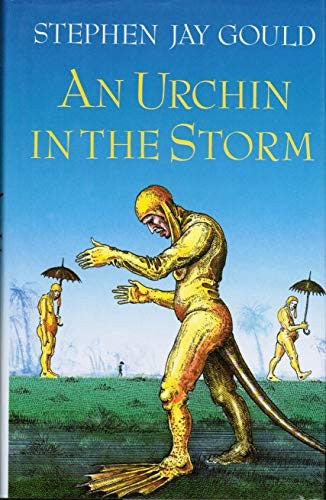 An Urchin in the Storm