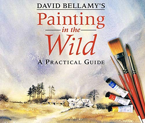David Bellamy's Painting in the Wild