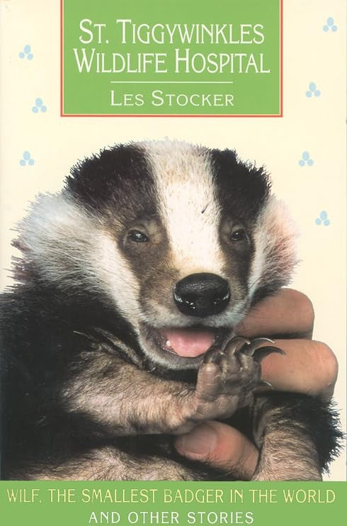 St. Tiggywinkles Wildlife Hospital