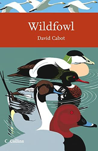 Wildfowl
