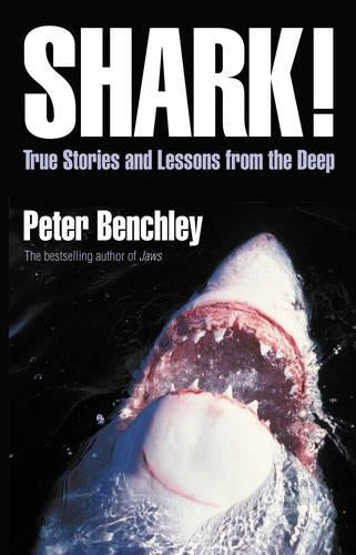 Shark!