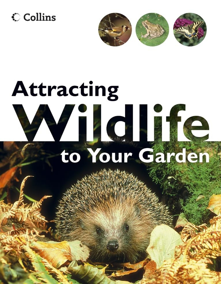 Attracting Wildlife to Your Garden