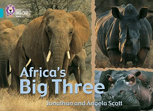 Africas Big Three