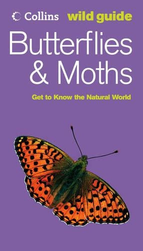 Butterflies and Moths