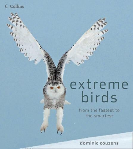 Extreme Birds