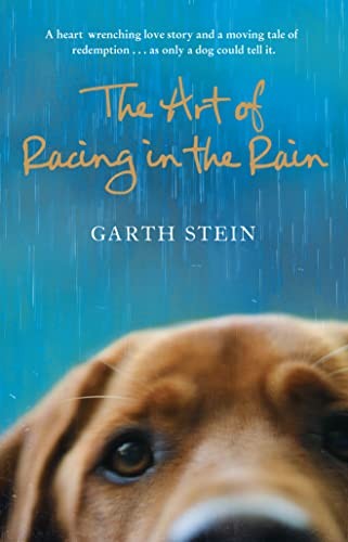 The Art of Racing in the Rain