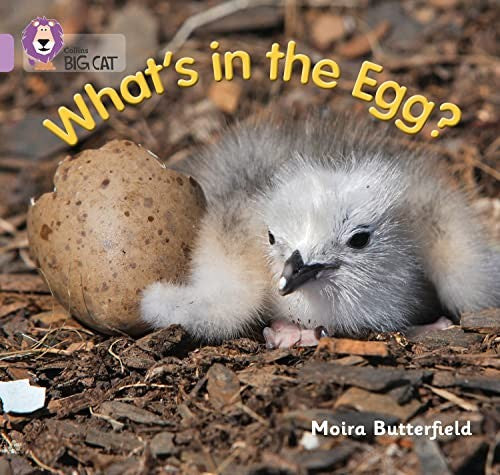 Whats in the Egg?