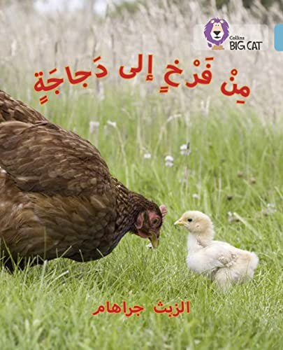Chick to Hen