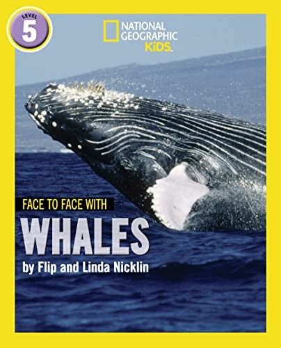 Face to Face with Whales