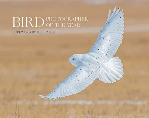 Bird Photographer of the Year