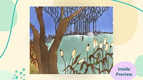 Let's-Read-and-Find-out Science, Stage 1: from Tadpole to Frog