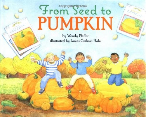 From Seed to Pumpkin
