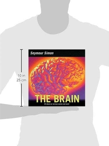 The Brain