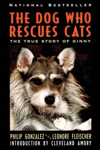 The Dog Who Rescues Cats