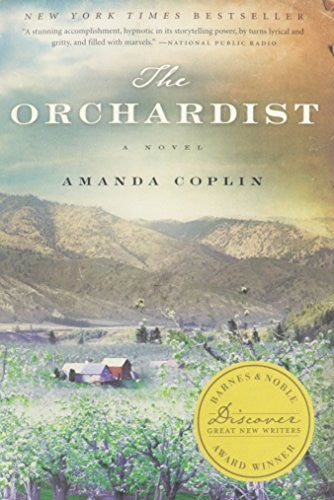 Bn Discover 2012 Fiction : A Novel
