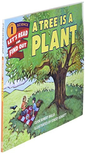 A Tree Is a Plant
