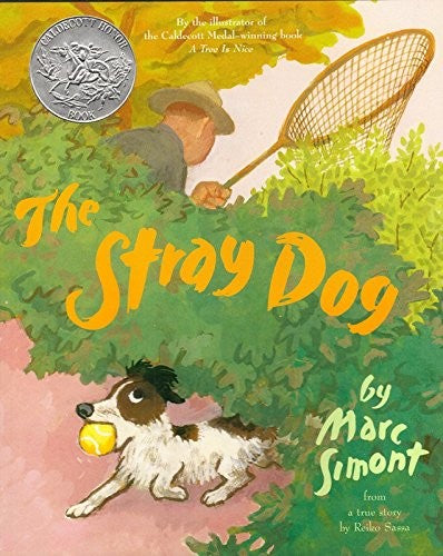 The Stray Dog