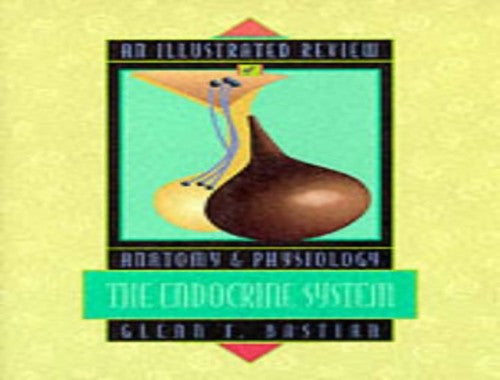 An Illustrated Review of Anatomy