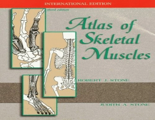 Atlas of Skeletal Muscles