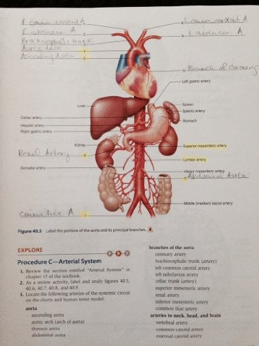 Laboratory Manual for Holes Human Anatomy & Physiology Cat Version