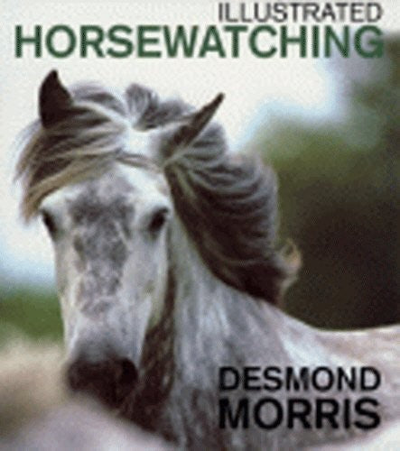 Illustrated Horsewatching