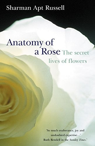 Anatomy Of A Rose