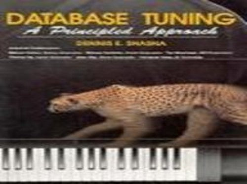 Database Tuning