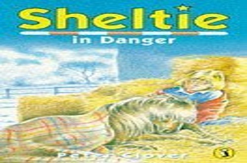 Sheltie in Danger