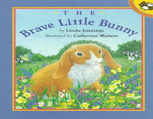 The Brave Little Bunny
