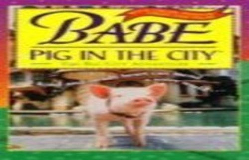 "Babe