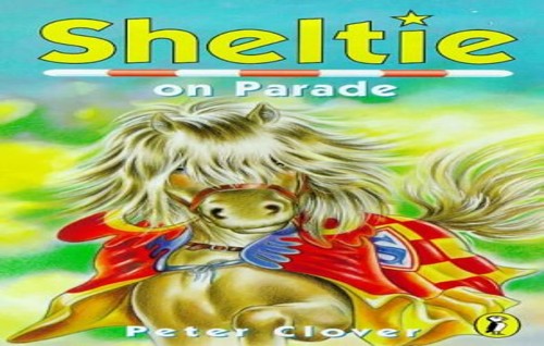 Sheltie On Parade (14)