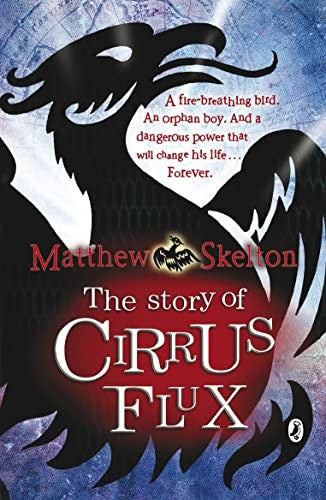 The Story of Cirrus Flux