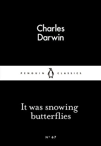 It Was Snowing Butterflies