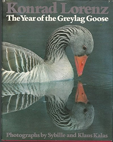 The Year of the Greylag Goose