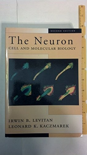 The Neuron
