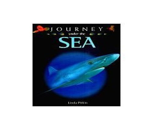 Journey Under the Sea