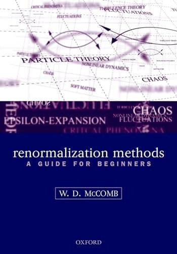 Renormalization Methods