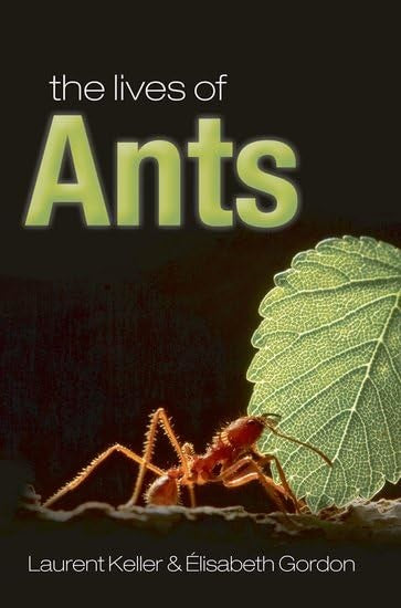 The Lives of Ants