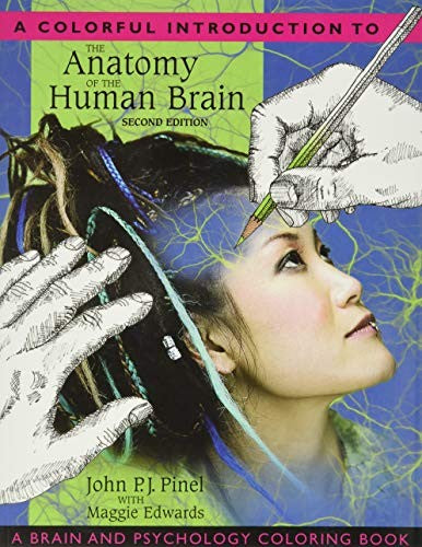 A Colorful Introduction to the Anatomy of the Human Brain, A
