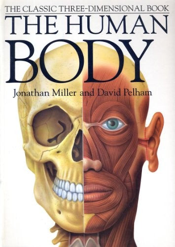 The Human Body