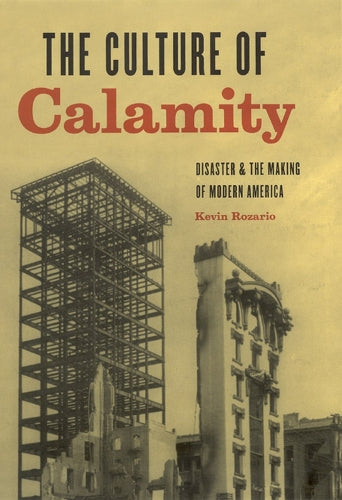The Culture of Calamity