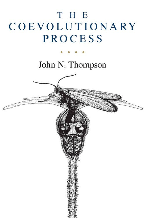 The Coevolutionary Process